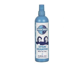 Stylin Dredz Spray Shampoo